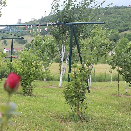Διαμέρισμα Apartman Green Paradise