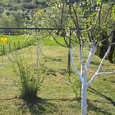 Apartman Green Paradise Διαμέρισμα