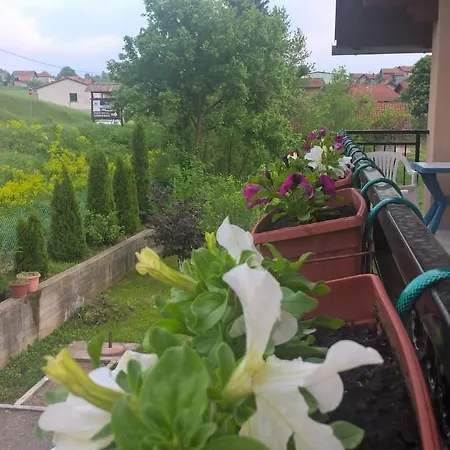 Apartman Green Paradise * Cukovi